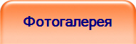 Фотогалерея
